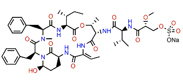 Symplostatin 5